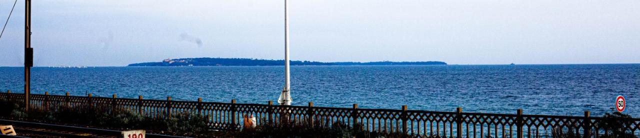 Licorne G14 Daire Cannes Dış mekan fotoğraf